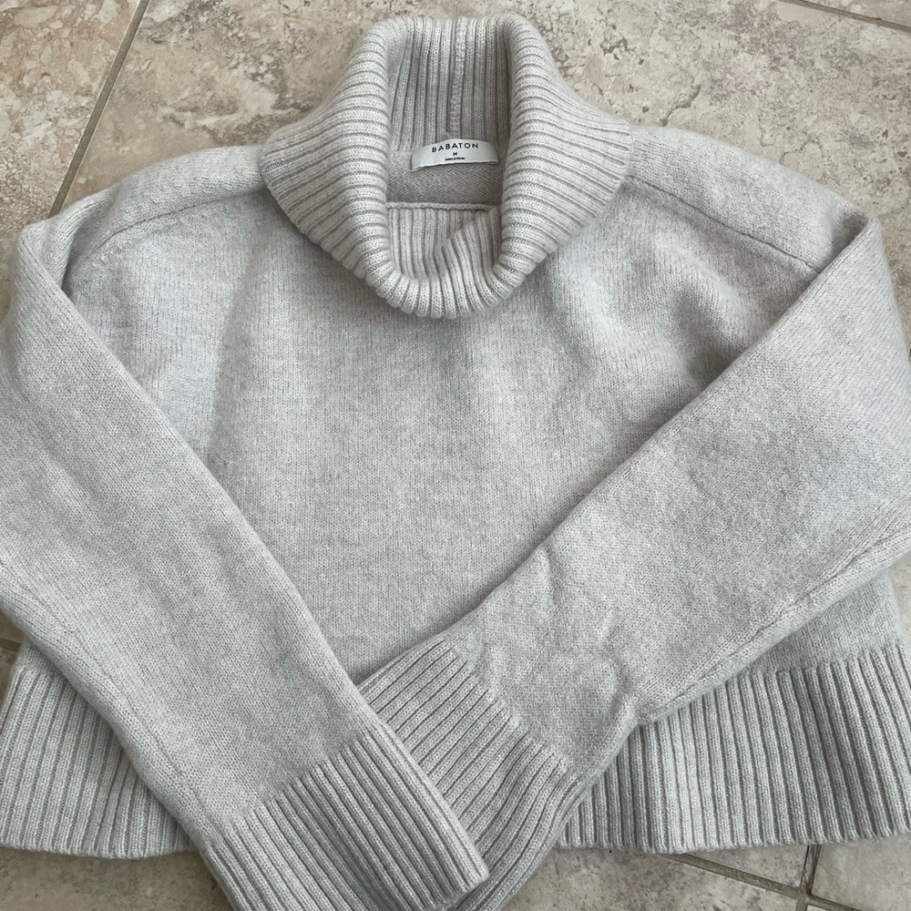 Babaton (Aritzia) turtleneck sweater